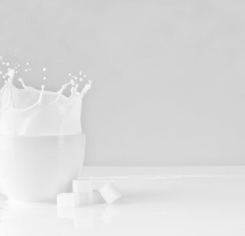 NEOH Ingredients / NEOHpedia: Whole milk powder and whey powder